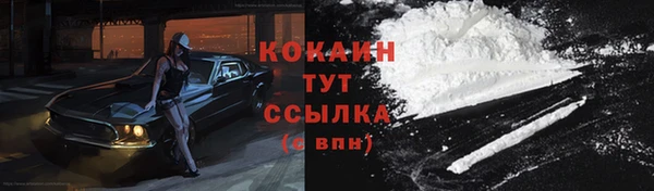 мяу мяу мука Баксан