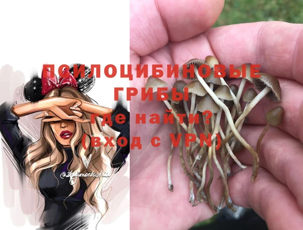 шишки Балабаново