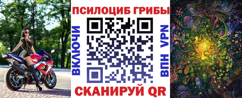 где продают наркотики  Ленинск-Кузнецкий  площадка клад  Галлюциногенные грибы GOLDEN TEACHER 